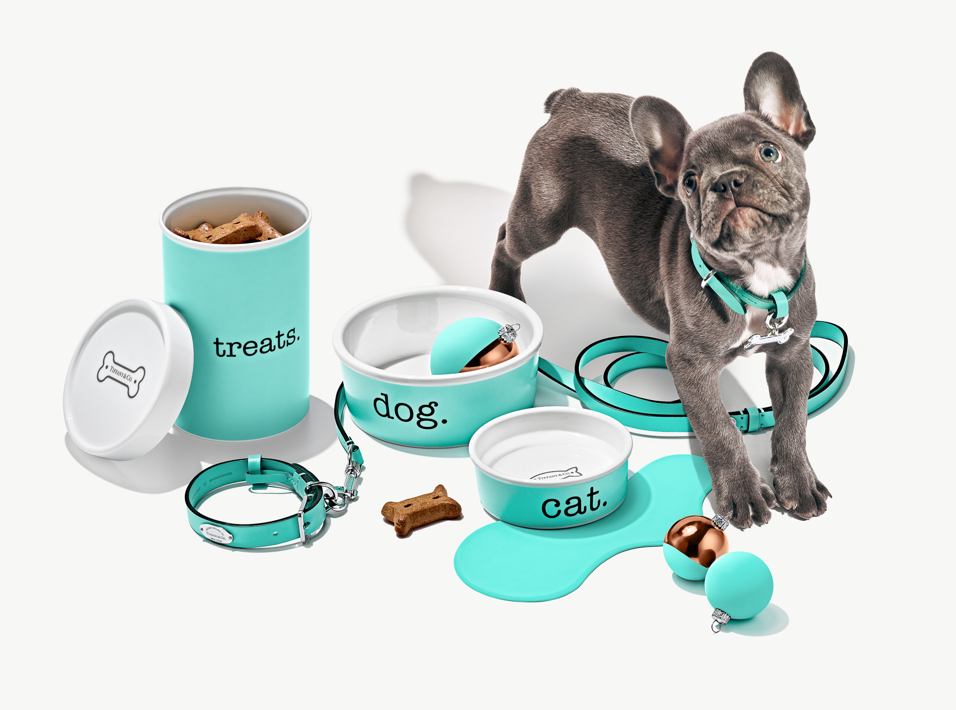 Harrods_Pet_Primary_am_2